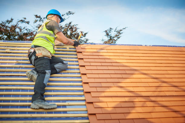 Best Skylight Installation and Repair  in Nevada City, CA
